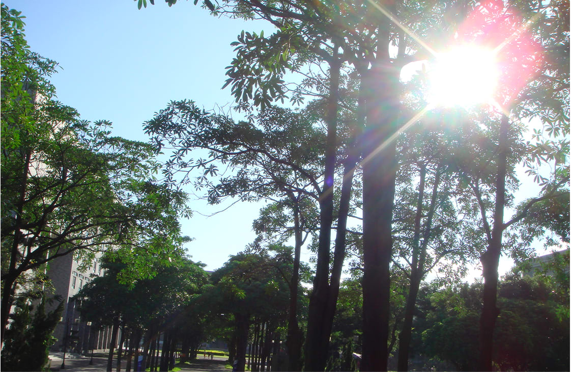 Friendly Energy Corporation cover image