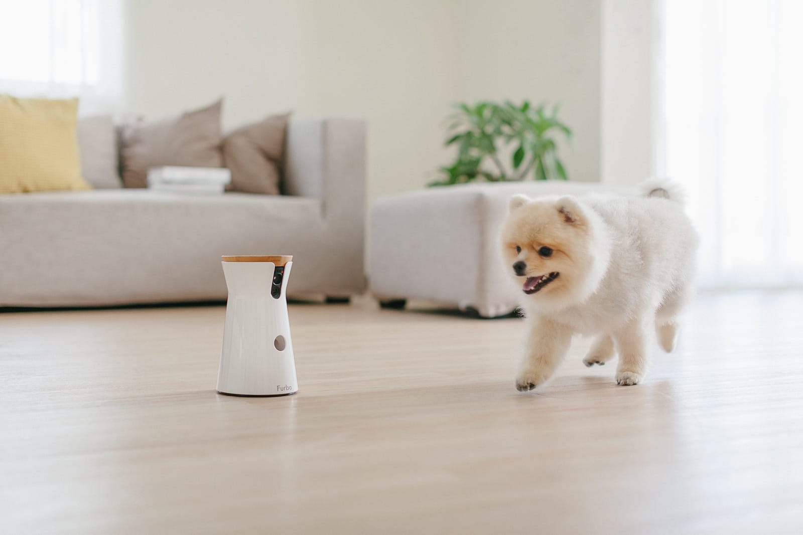 Tomofun 寵物AIoT科技新創 cover image