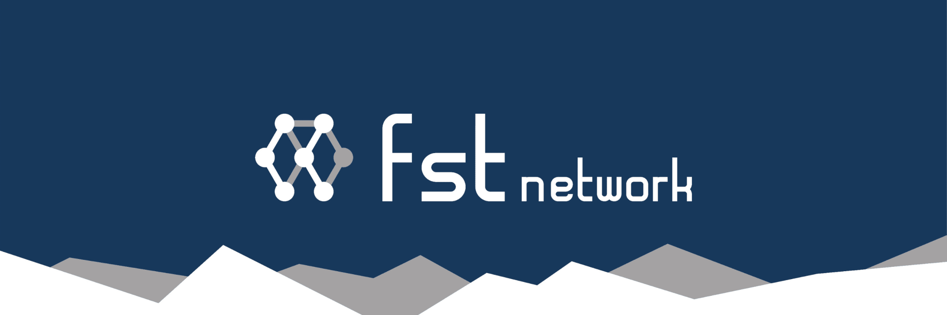 FST Network 邦拓鏈股份有限公司 cover image