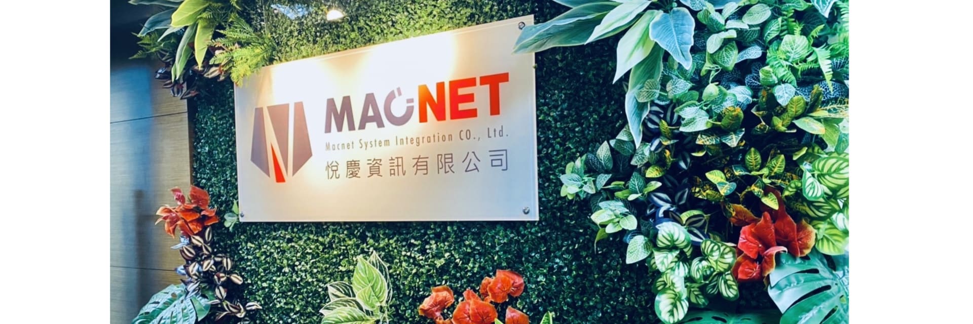 悅慶資訊有限公司 cover image