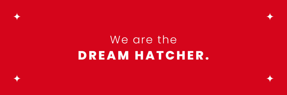 TransBiz國際品牌行銷顧問_睿博數位行銷有限公司 cover image