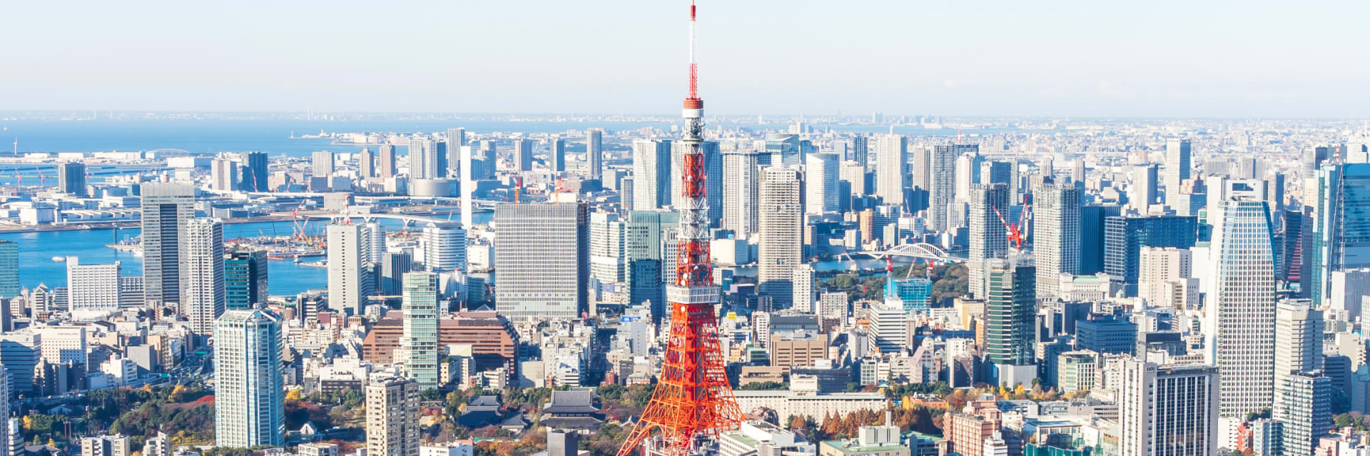 Cake 赴日就業人才媒合專區 🇯🇵 cover image