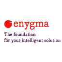 Logo of PT. Enygma Solusi Negeri .