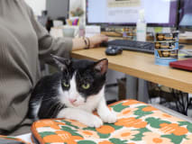 Work environment image