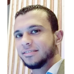 Avatar of Mahmoud Singer.