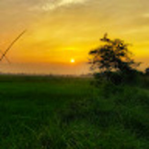 Avatar of Somesh Yadav.