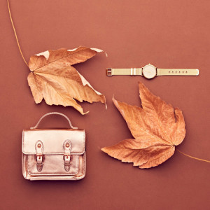 Avatar of Suendys Rodriguez Chavez.