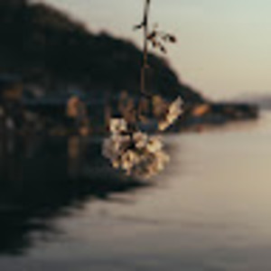 Avatar of 曾以諾.