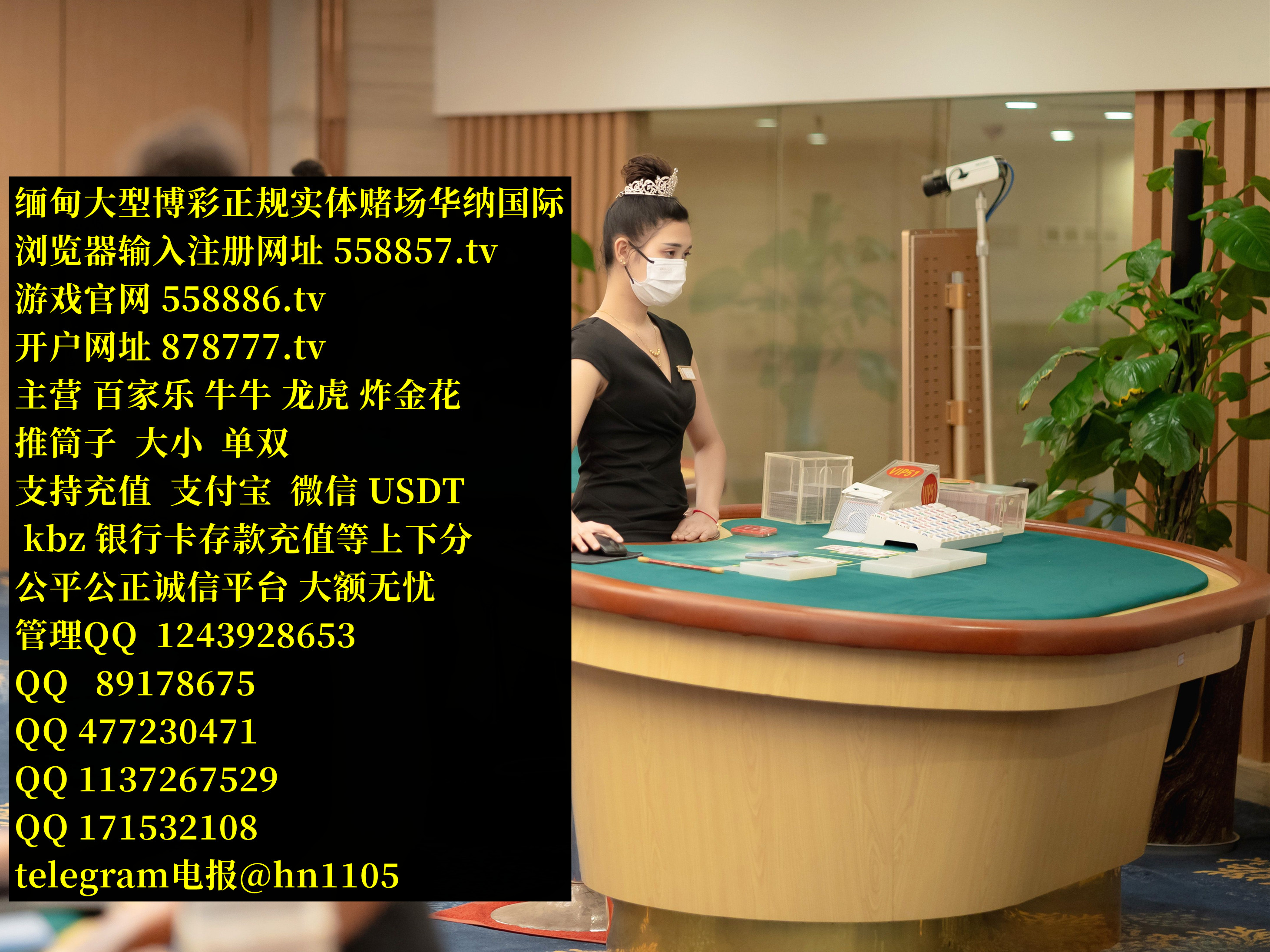 华纳国际的作品集| Cake