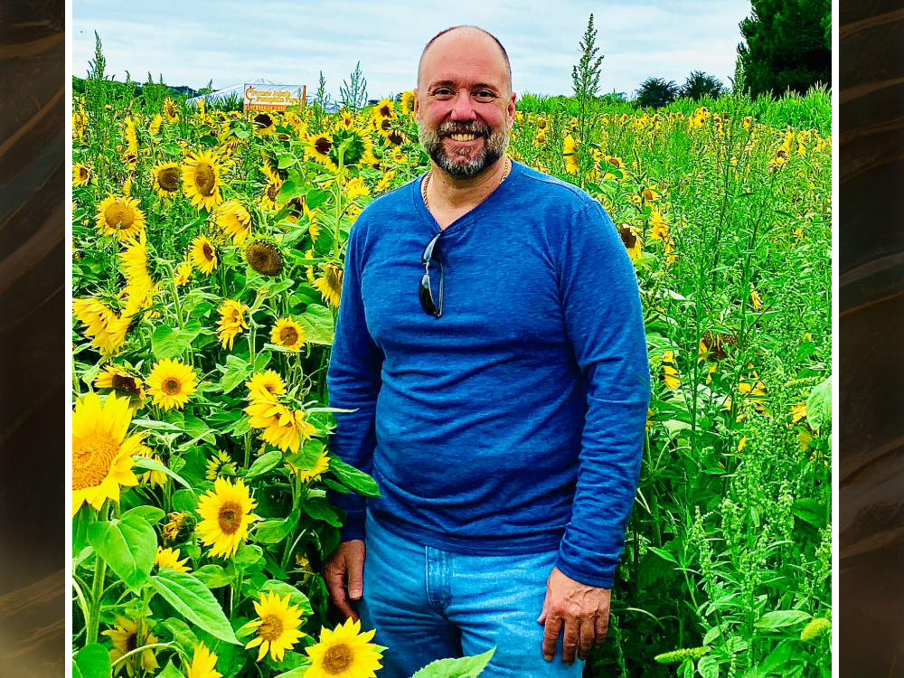 Cover of the portfolio.